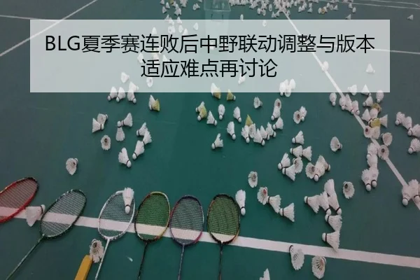 BLG夏季赛连败后中野联动调整与版本适应难点再讨论